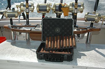 Release Marine Rocket Launcher