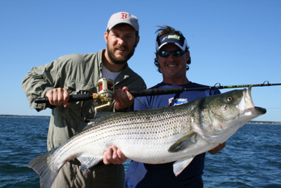 striped bass