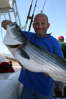 striped bass