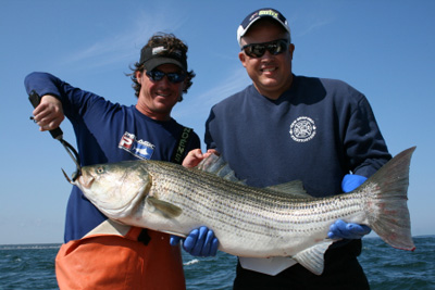 striped bass