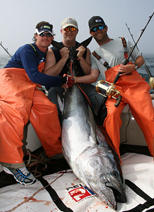Castafari Sport Fishing & Deep Seas Fishing: News. Cape Cod, Massachusetts