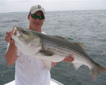 Bass
