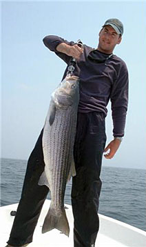 Bass