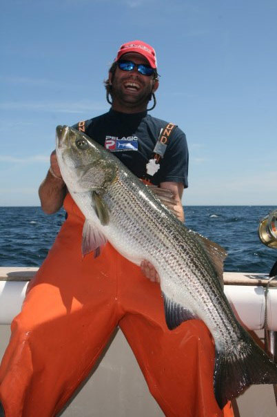 Striped Bass