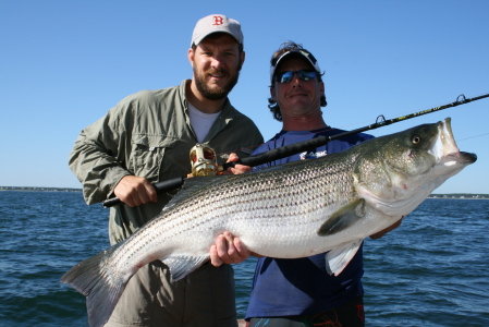 Striped Bass