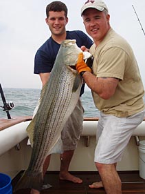 Striped Bass