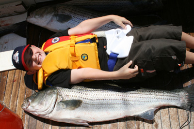 striped bass