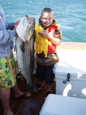 striped bass