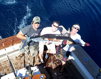 White Marlin