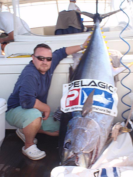 Bigeye Tuna