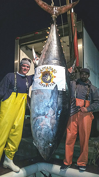 Giant Tuna