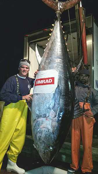 Giant Tuna