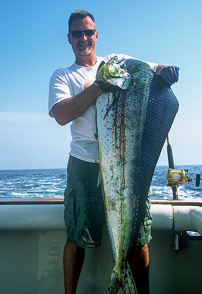 Mahi Mahi