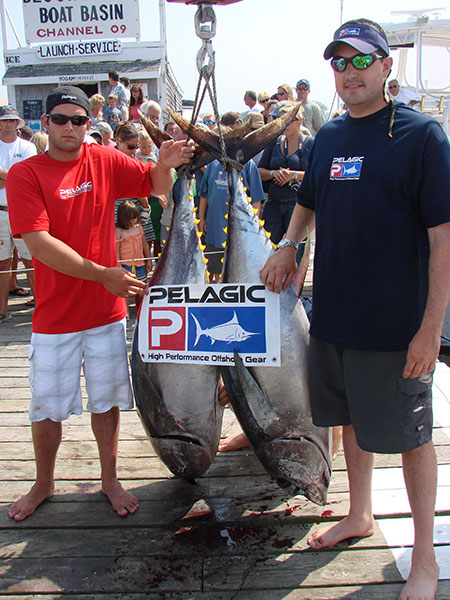 Bigeye Tuna