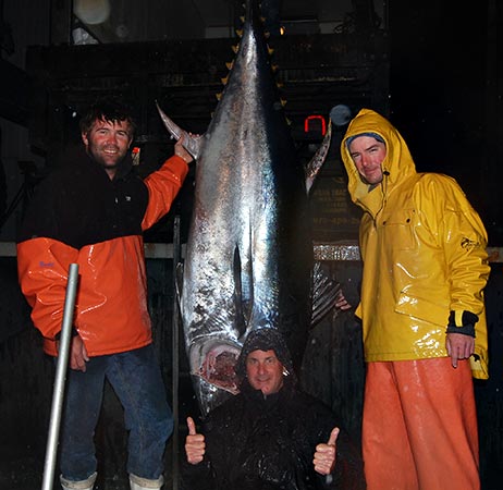 Giant Tuna