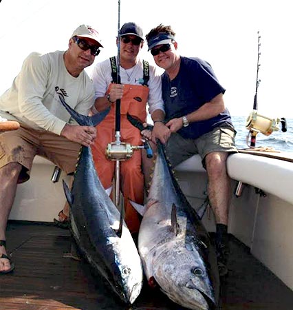 Bluefin Tuna