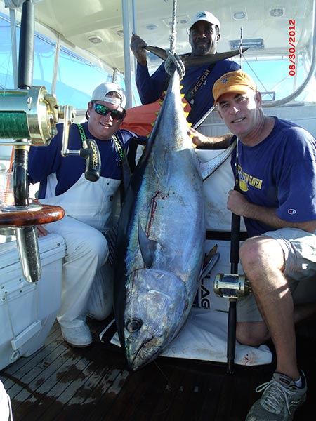 Bigeye Tuna