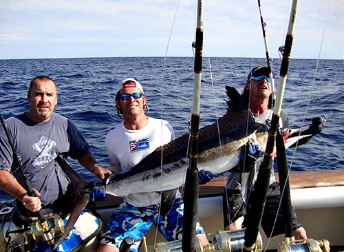 White Marlin