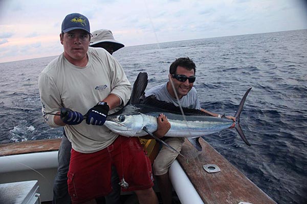 White Marlin